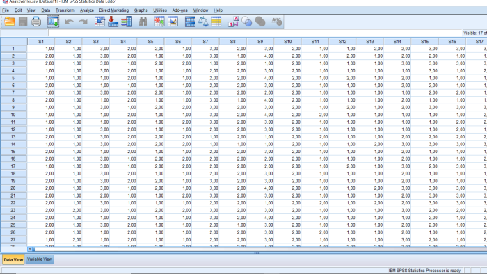 Spss analizlerini yapabilirim