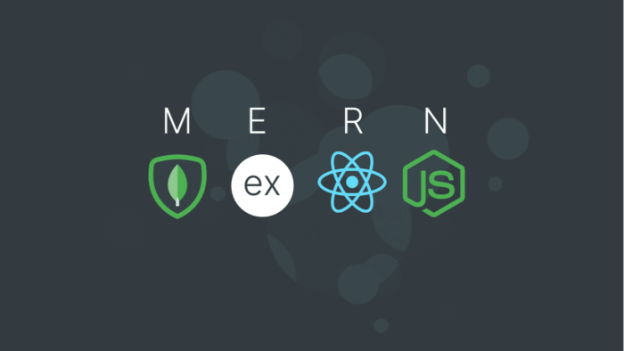 mern stack ile websitesi yaparım