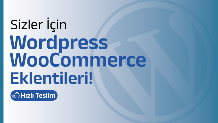 size özel wordpress eklentileri oluşturabilirim