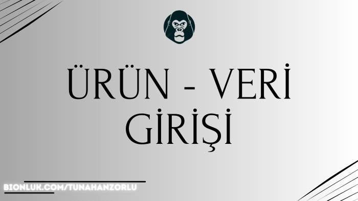 veri ve ürün girişi yaparım