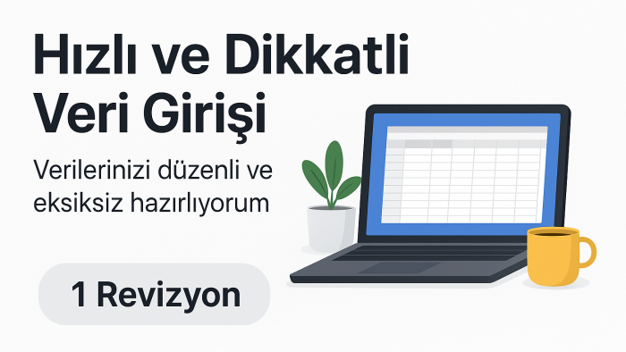 sizin için düzenli ve hatasız veri girişi yaparım