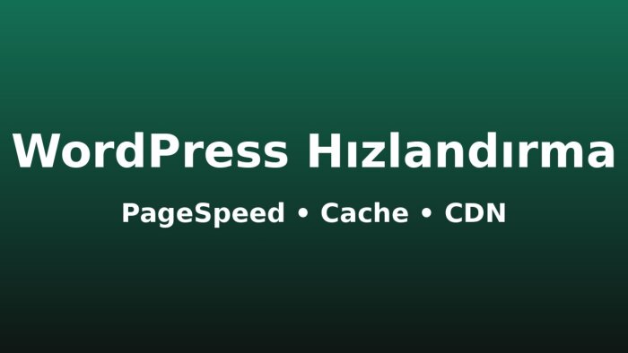 WordPress sitenizi hızlandırır, PageSpeed skorunu artırırım