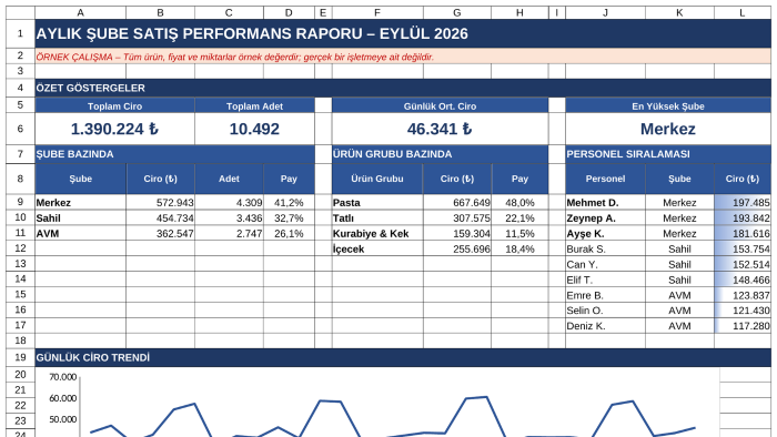 Excel verilerinizden otomatik rapor ve dashboard hazırlarım