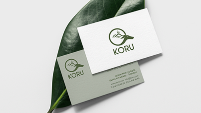 profesyonel logo tasarımları yaparım