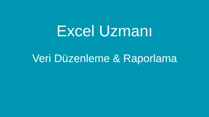 profesyonel Excel raporlama ve veri analizi yaparım