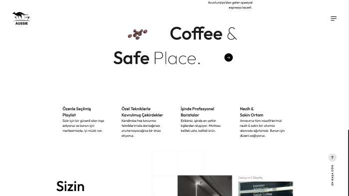 firmanıza özel web sitesi tasarlarım