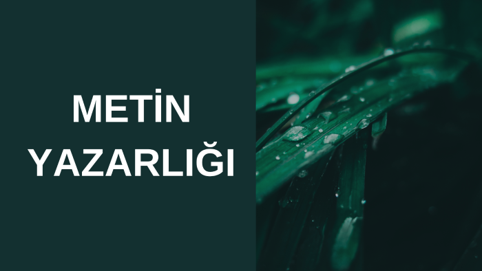 metin yazarlığı yaparım