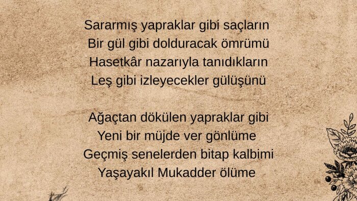 size özgün şiir ve şarkı sözü yazıyorum