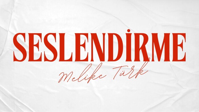seslendirme alanında profesyonel hizmet sunuyorum
