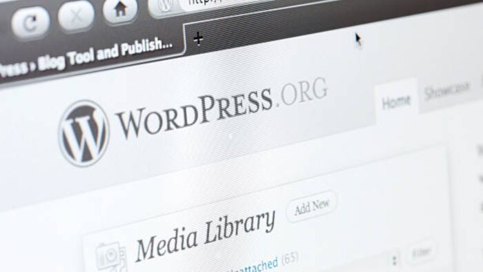 Wordpress uzmanıyım sitenizi yaparım