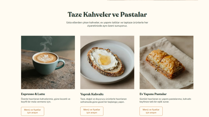 modern ve profesyonel web siteleri tasarlıyorum