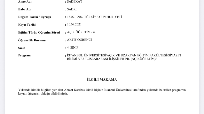 profesyonel tarih ve dış politika makaleleri tasarlarım
