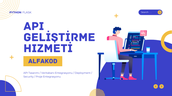 sizin için API servisi yazabilirim