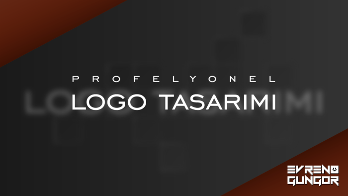 özgün ve tam profesyonel logo tasarımları sunuyorum