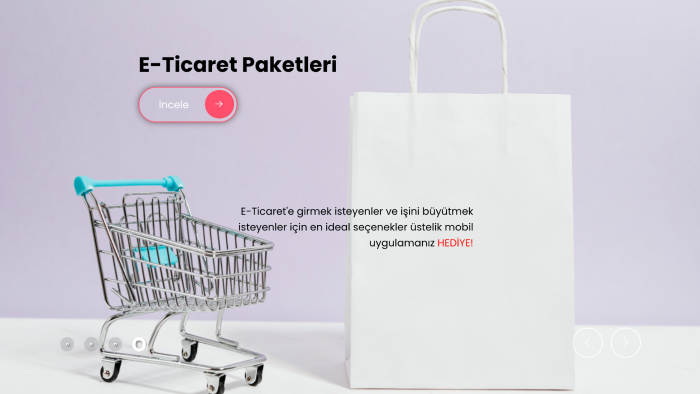 e-ticaret sitesi yaparım