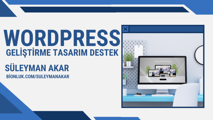 size profesyonel Wordpress sitesi yaparım