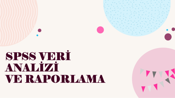 SPSS ile veri analizi yaparım