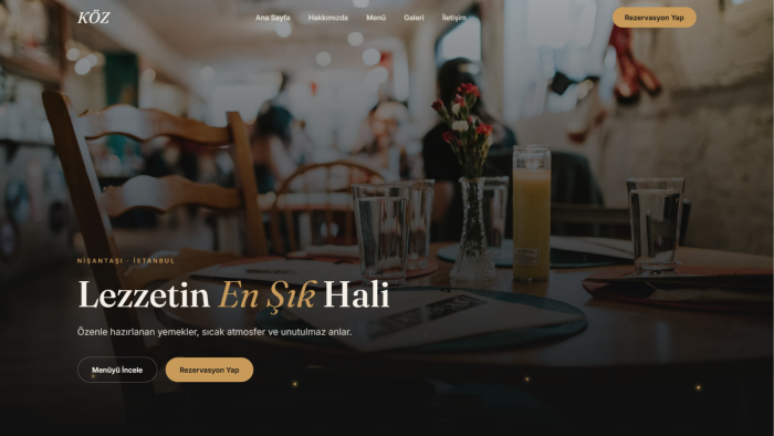 hızlı ve modern web sitesi tasarlıyorum