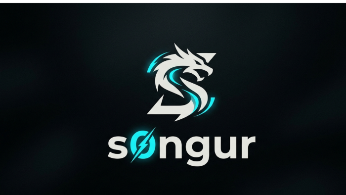 logo tasarımı yapabilirim