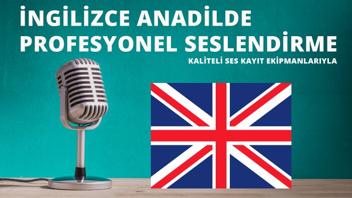 ingilizce profesyonel seslendirme yaparım