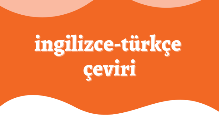 İngilizce metin çevirisi yaparım