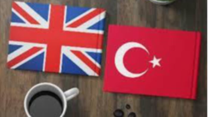 çift yönlü İngilizce - Türkçe çeviri yapabilirim