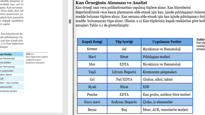 PDF ve Word belgelerinizi profesyonelce düzenlerim
