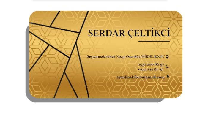 sizin firmanıza uygun kaliteli bir kurmsal logo yapabilirim