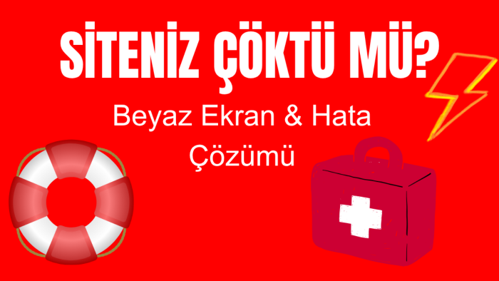 en karmaşık WordPress hatalarını çözerim