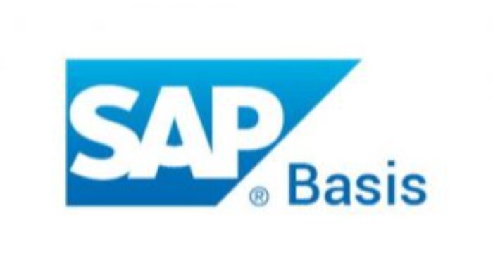 SAP sistemlerinin kurulum ve yönetimini yapabilirim