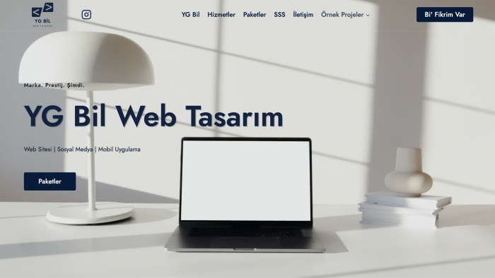 tamamen size özel hazır tema olmayan site kurulumu yapıyorum
