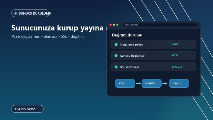 web uygulamanızı sunucuya kurar ve yayına alırım