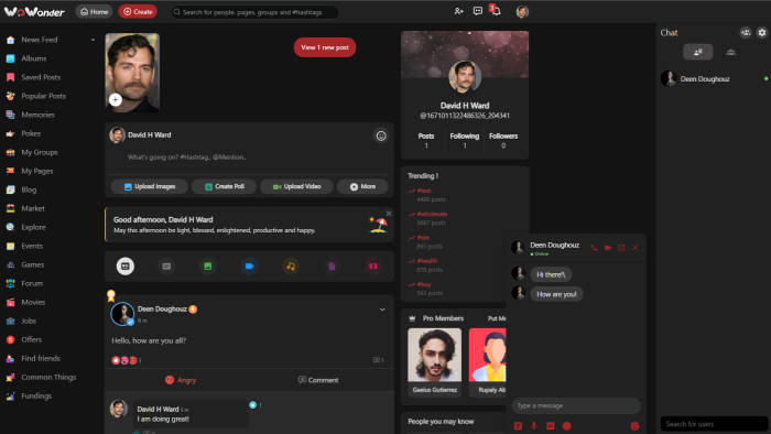 wowonder teması ile  sosyal medya sitesi kuruyorum