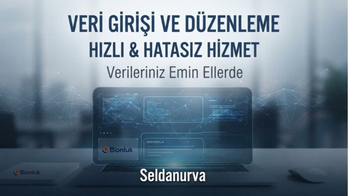 profesyonel veri girişi yaparım