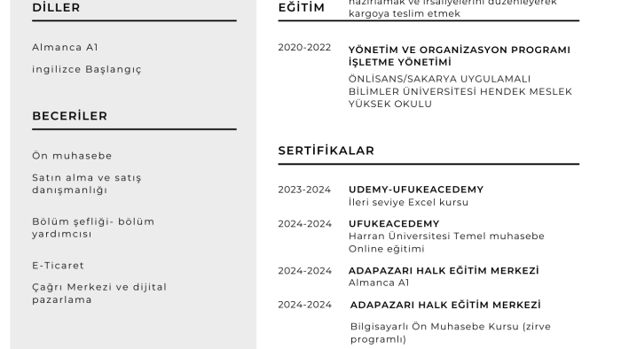 yabancı dil olarak özgeçmiş hazırlayabilirim