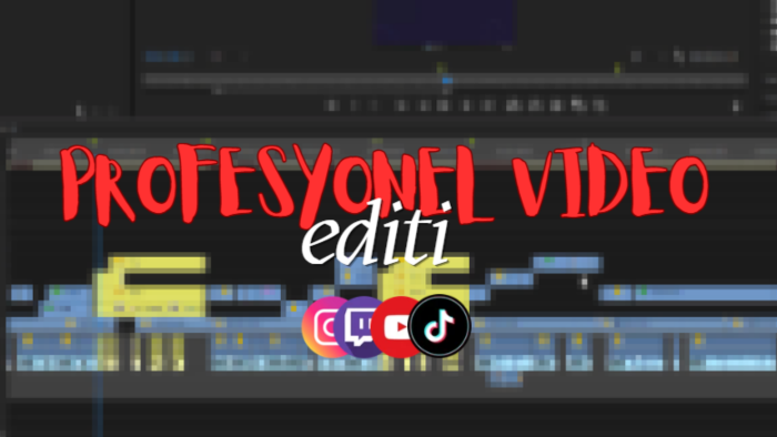 çeşitli alanlarda profesyonel video editörlüğü yapabilirim