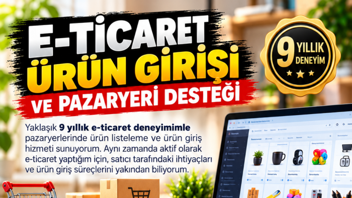 veri girişlerinizi en iyi şekilde yapabilirim