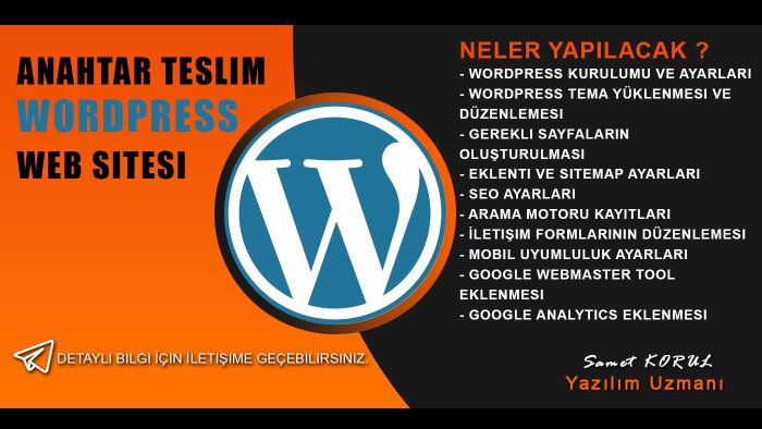 sizin için wordpress anahtar teslim web sitesi yapabilirim