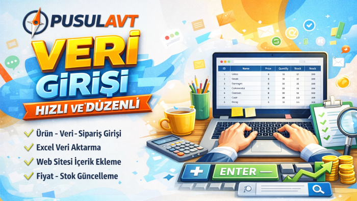 veri girişi yapabilirim
