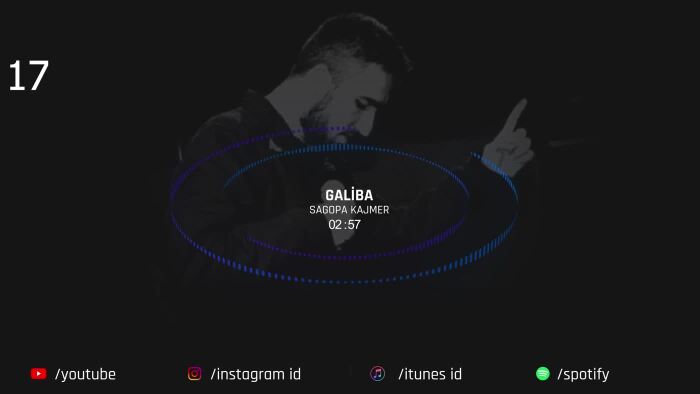 şarkılarınıza kinetik tipografi ve audio spectrum yaparım