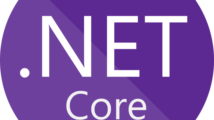 .NET CORE MVC ile özel projeler geliştirebilirim