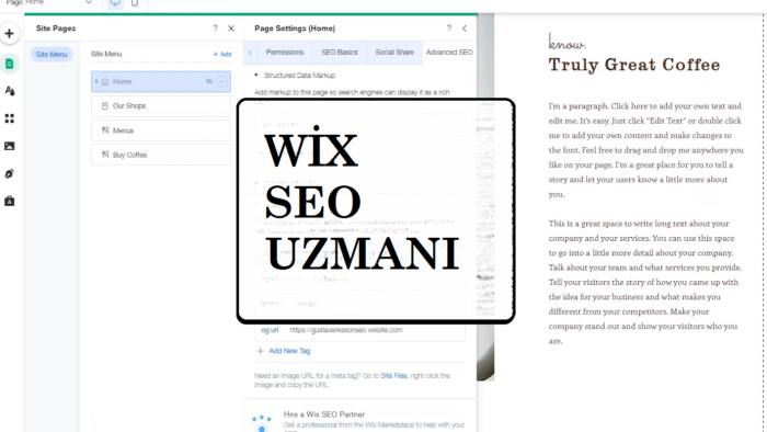 WİX SEO ayarlarınız sağlayabilirim