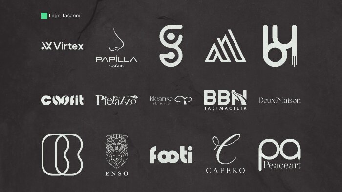 profesyonel ve modern logo tasarlıyorum