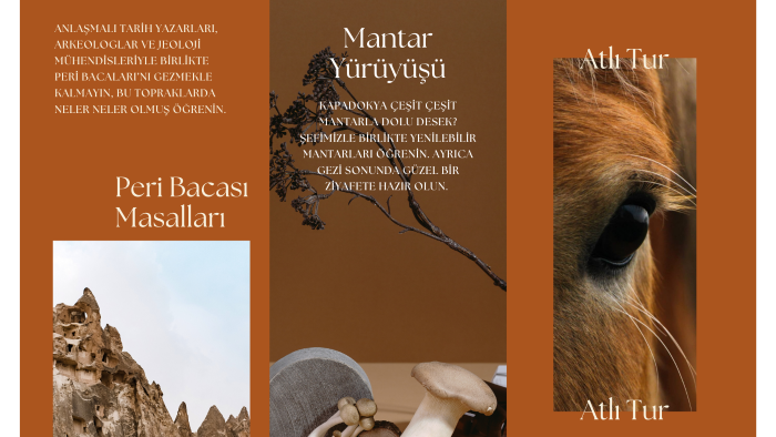 broşür ve poster tasarım konusunda isteklerinizi yapabilirim