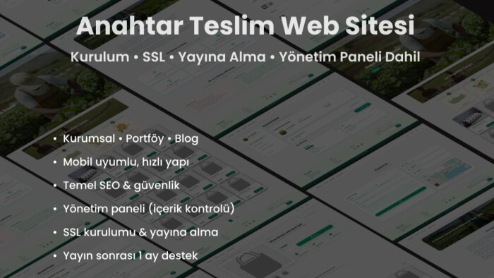 anahtar teslim web sitesi kurulumunu baştan sona yaparım