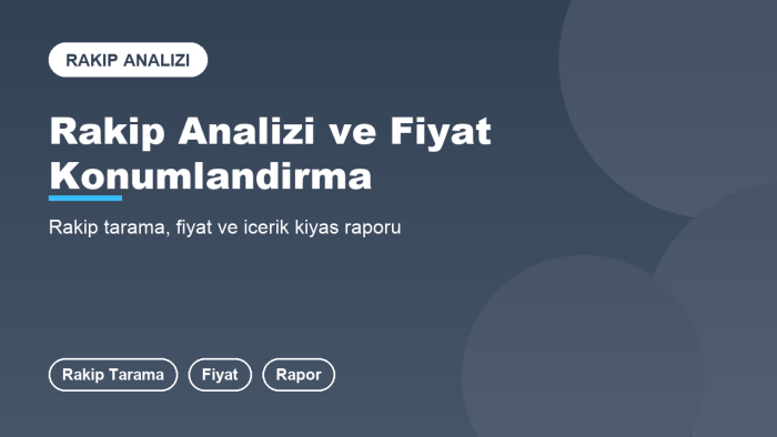 rakip analizi ve fiyat raporu hazırlarım