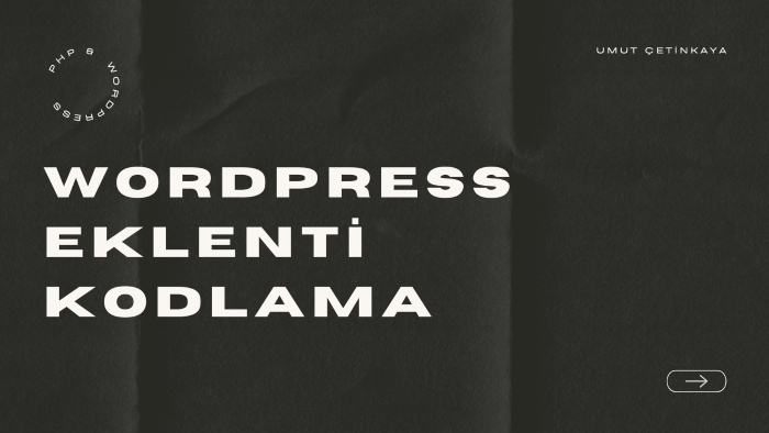 dilediğiniz WordPress eklentiyi profesyonel olarak kodlarım
