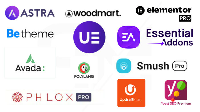 websitenize premium tema veya eklenti kurulumu yapabilirim