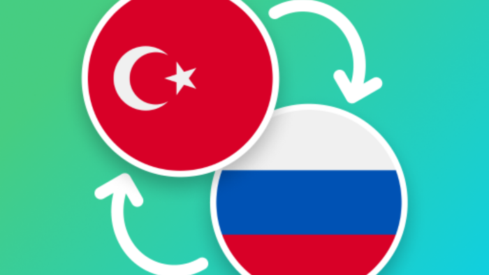 Rusça-Türkçe profesyonel çeviri hizmeti sunarım