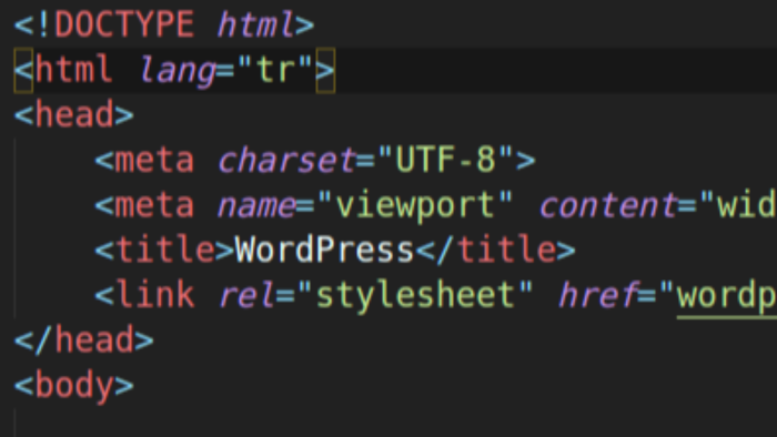 sitenizi JavaScript, .Net ve Php ile sıfırdan yazabilirim